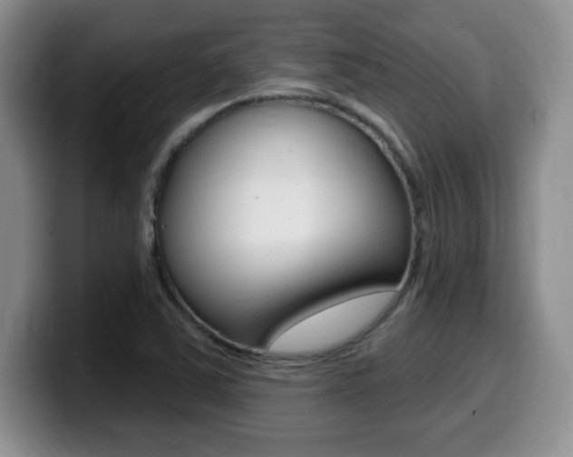 X0000099481363200805090825