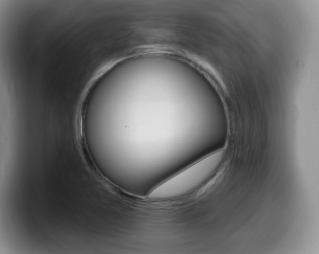 X0000099481365200805090825