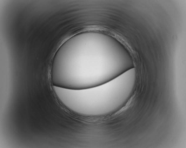 X0000099481369200805090825