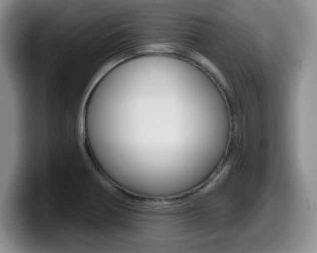 X0000099481370200805090825