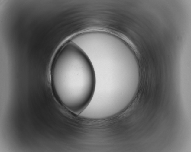 X0000099481372200805090825