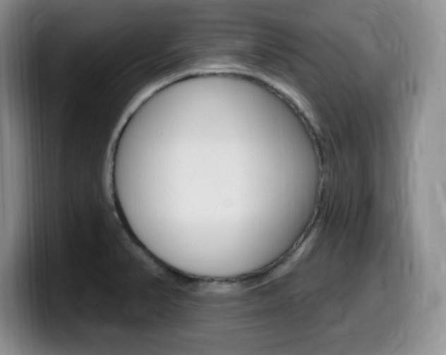 X0000099481374200805090825
