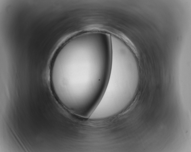 X0000099481376200805090825