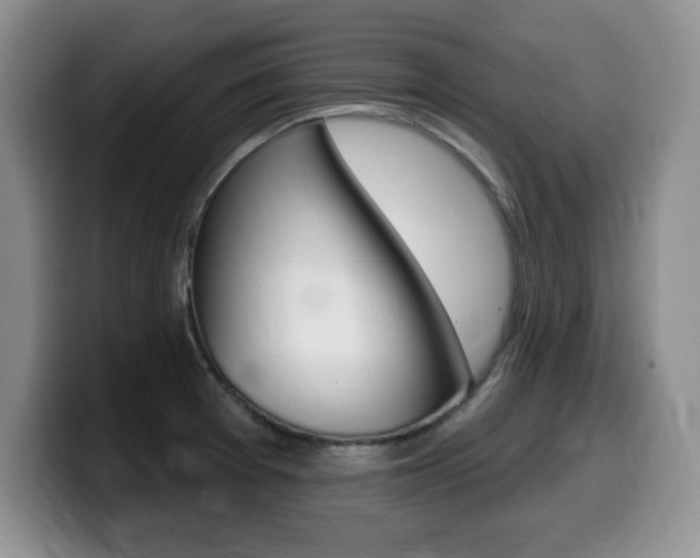 X0000099481377200805090825