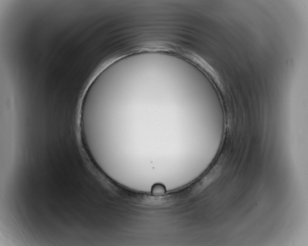 X0000099481378200805090825