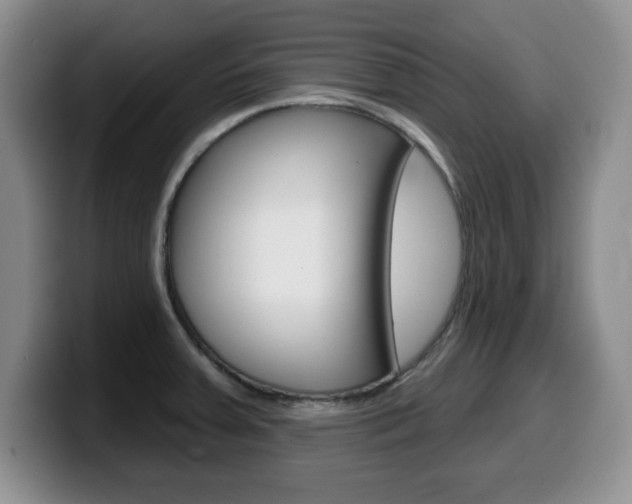 X0000099481379200805090825