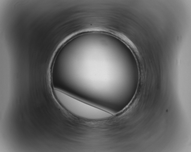 X0000099481380200805090825