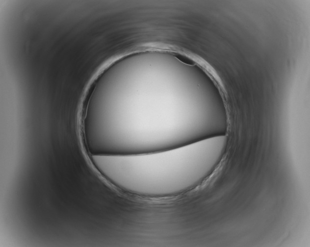 X0000099481381200805090825