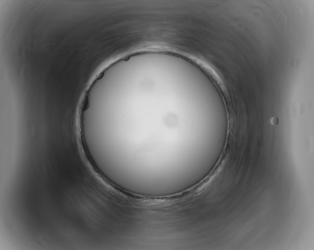 X0000099481382200805090825