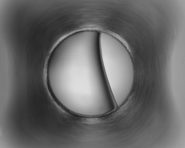 X0000099481383200805090825