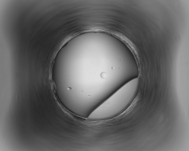 X0000099481385200805090824