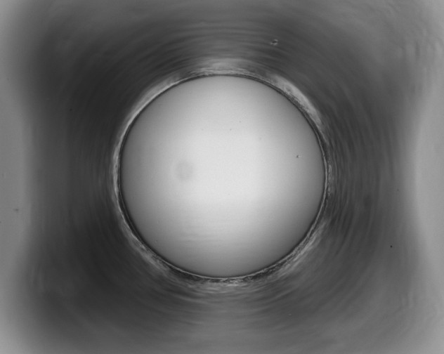 X0000099481386200805090824