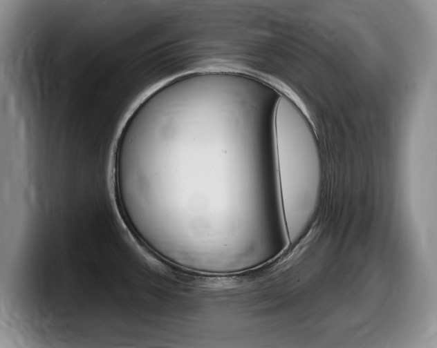 X0000099481387200805090824