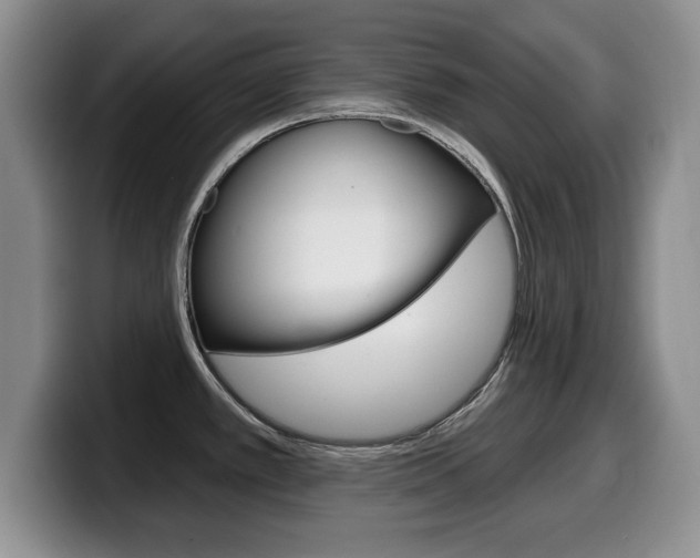 X0000099481389200805090824