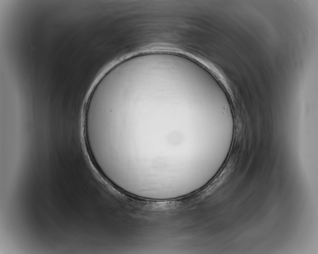 X0000099481390200805090824