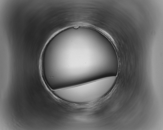 X0000099481391200805090824