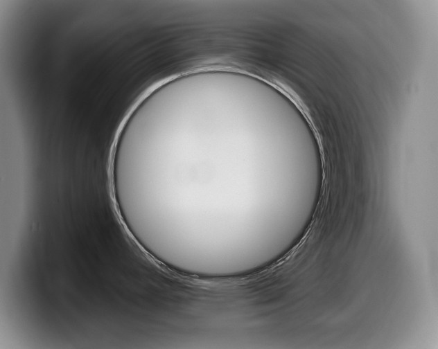 X0000099481392200805090824