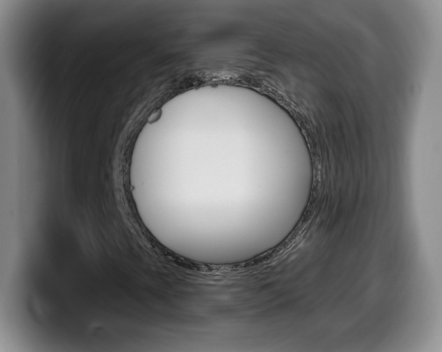 X0000099481393200805090824