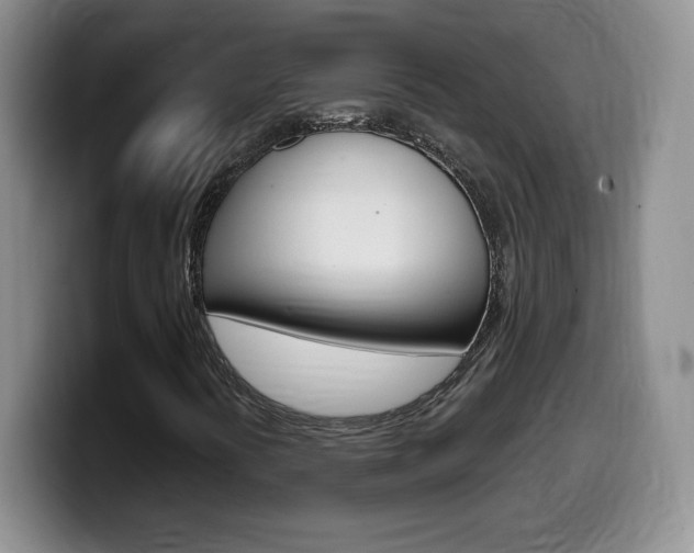 X0000099481394200805090824