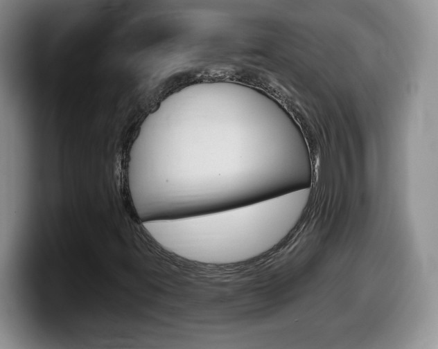 X0000099481395200805090824