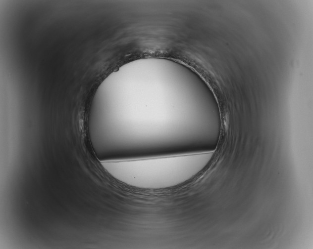 X0000099481396200805090824