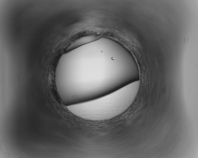 X0000099481397200805090824