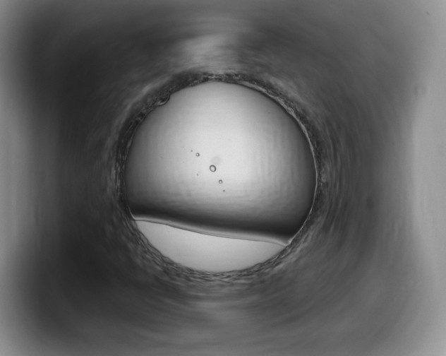 X0000099481398200805090824