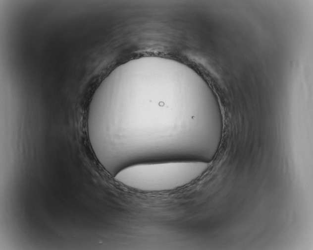 X0000099481399200805090824