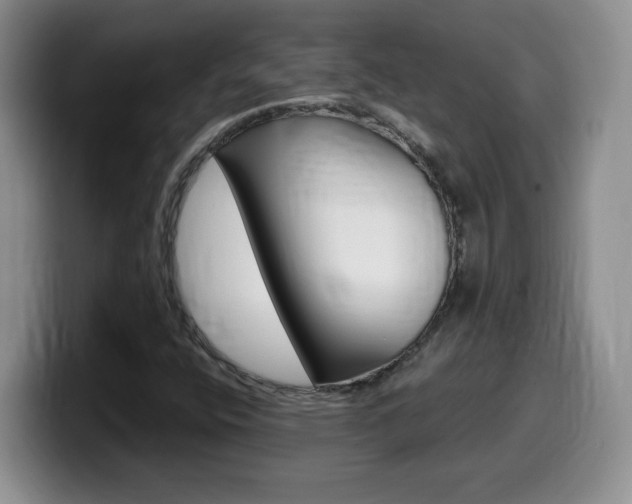 X0000099481400200805090824