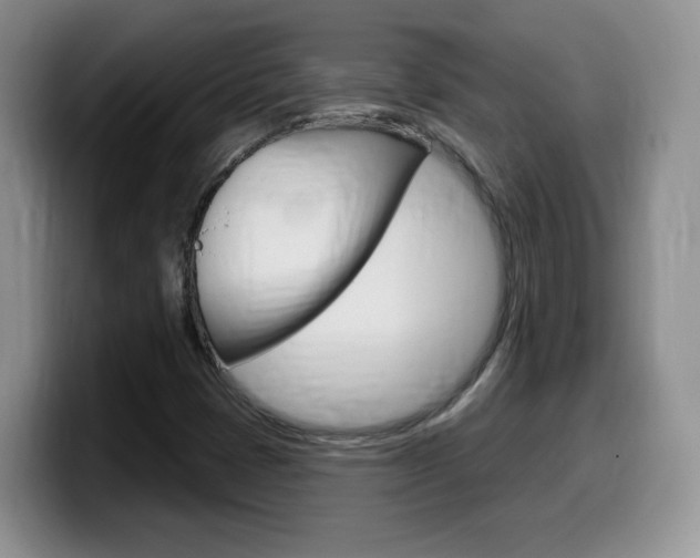 X0000099481401200805090824
