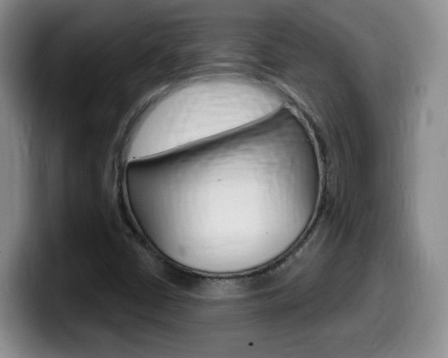 X0000099481402200805090824