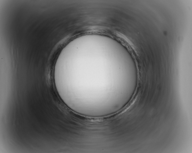 X0000099481403200805090824