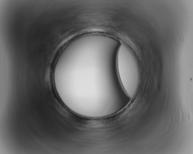 X0000099481404200805090824