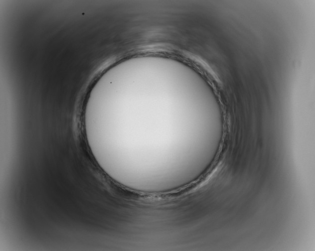 X0000099481405200805090824