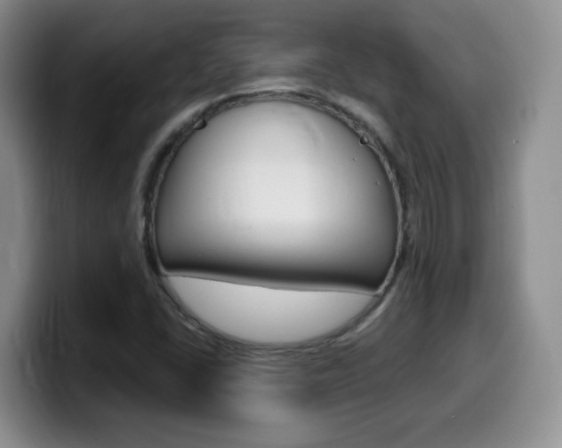 X0000099481406200805090824