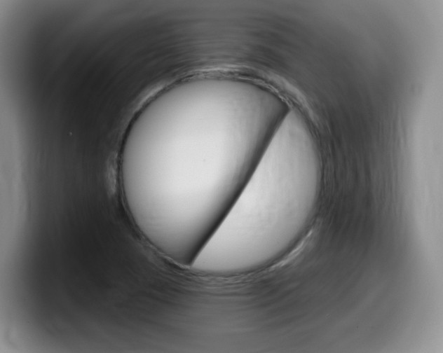 X0000099481409200805090824