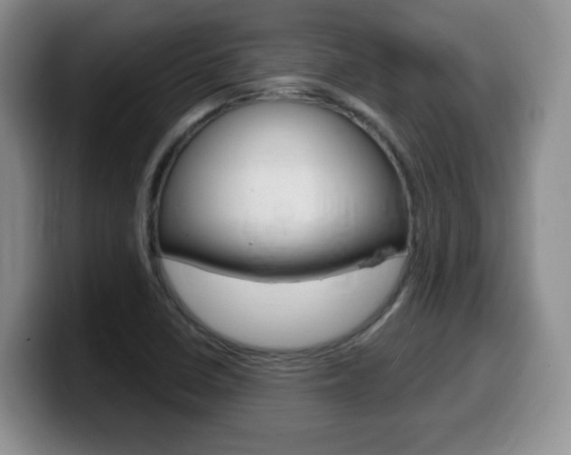 X0000099481410200805090824