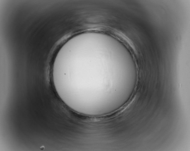 X0000099481411200805090824