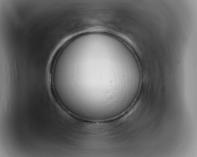 X0000099481414200805090824
