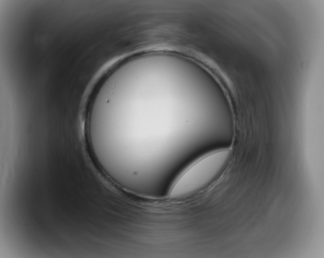 X0000099481416200805090824