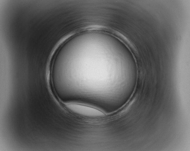 X0000099481418200805090824
