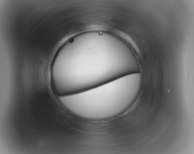 X0000099481419200805090824