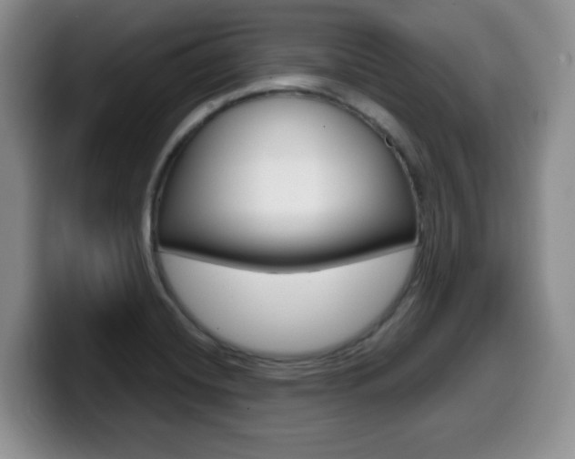 X0000099481420200805090824
