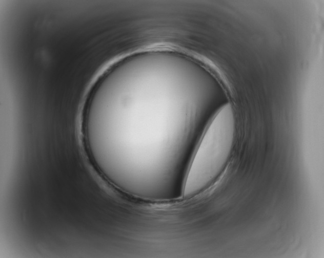 X0000099481422200805090824