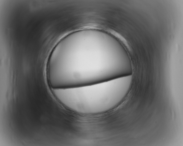 X0000099481423200805090824