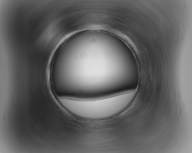 X0000099481424200805090824