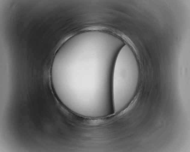 X0000099481425200805090824