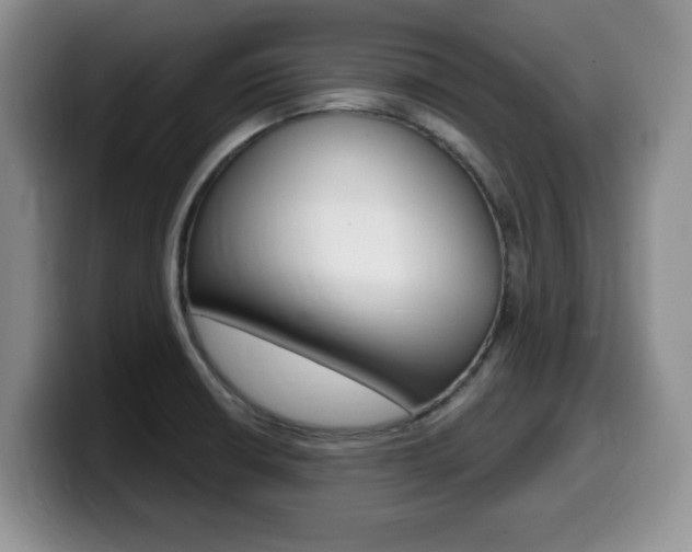 X0000099481426200805090824