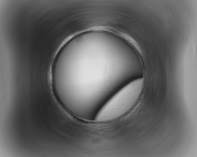 X0000099481428200805090824