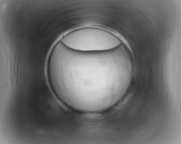 X0000099481429200805090824